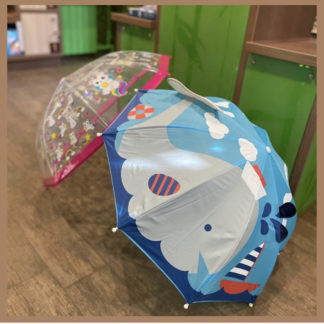 Зонты, Дождевики, Очки, Аксессуары